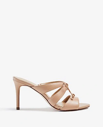 Ann Taylor Mathilda Bow Heeled Leather Sandals In Neutrals