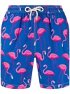 Mc2 Saint Barth Flamingo Swim Shorts - Blue