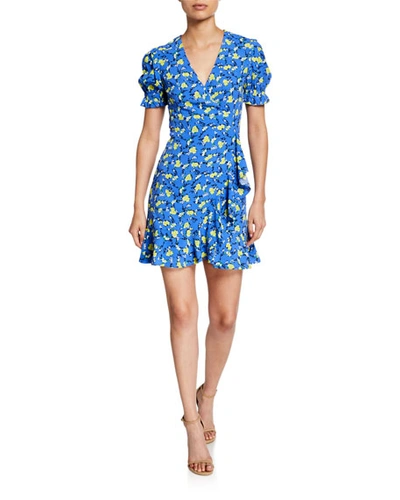 Diane Von Furstenberg Emilia Floral Short-sleeve Wrap Dress In Blue