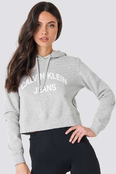 Calvin Klein Curved Logo Crop Hoodie - Grey In Light Grey Heather