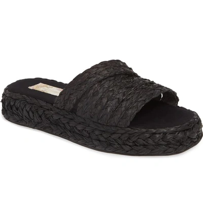 Band Of Gypsies Solstice Platform Slide Sandal In Black Raffia Rope