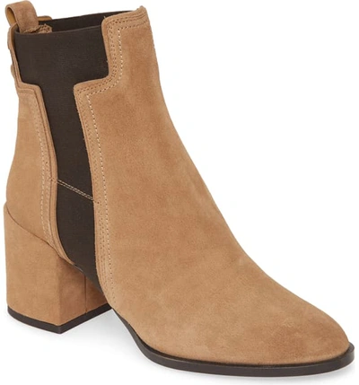 Tod's Elastic T Suede Chelsea Boots In Brown