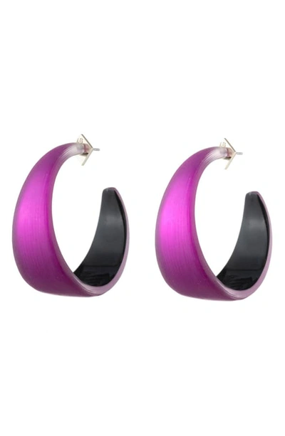 Alexis Bittar Wide Graduated Medium Hoop Earrings In Fuchsia