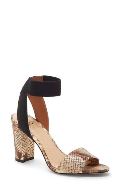 Vince Camuto Ankle Strap Sandal In Sienna Snake Embossed Leather