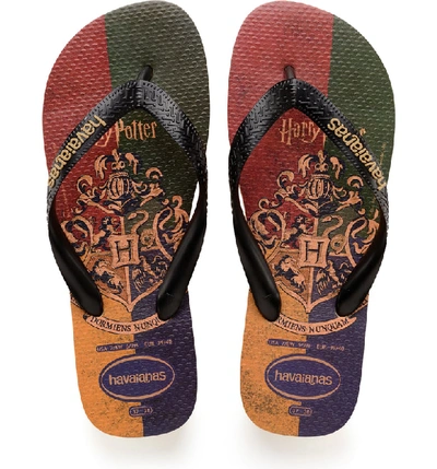 Havaianas Top Harry Potter Flip Flop In Red/ Green/ Yellow/ Purple