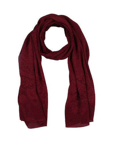 Roberto Cavalli Scarves In Maroon