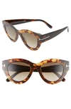 Tom Ford Slater 51mm Cat Eye Sunglasses - Havana/ Gradient Roviex In Grey-black