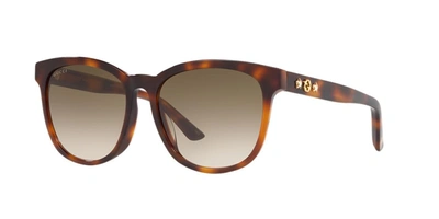 Gucci Sunglasses, Gg0232sk 56 In Brown