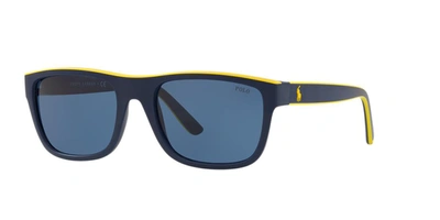 Polo Ralph Lauren Sunglasses, Ph4145 56 In Blue