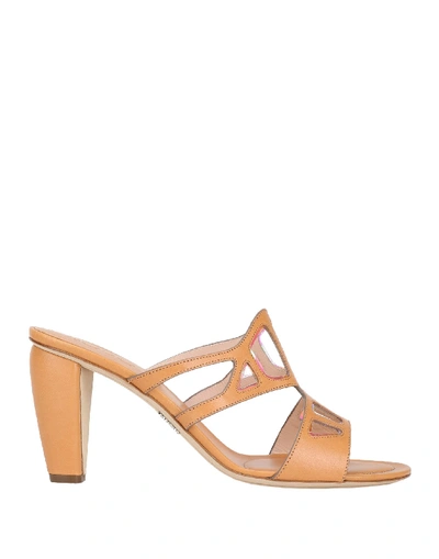 Rodo Sandals In Brown