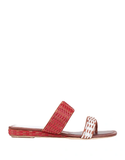 Rodo Sandals In Brown