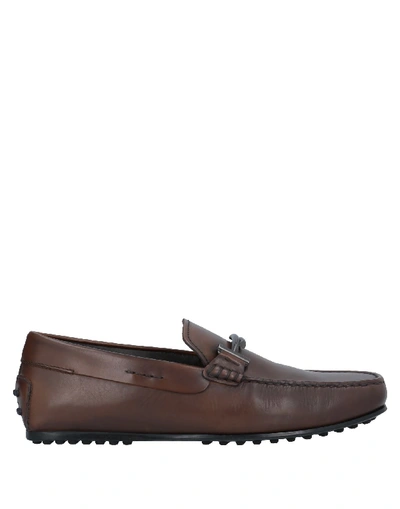 Tod's Loafers In Brown