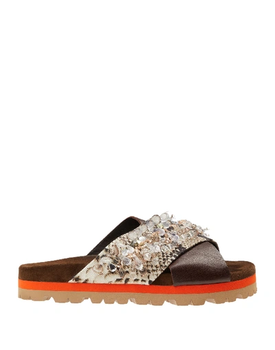 Msgm Sandals In Brown