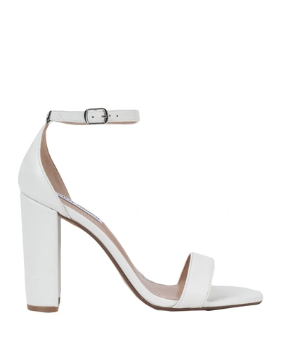 Steve Madden Sandals In White