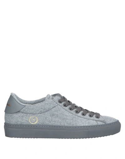 Barracuda Sneakers In Grey