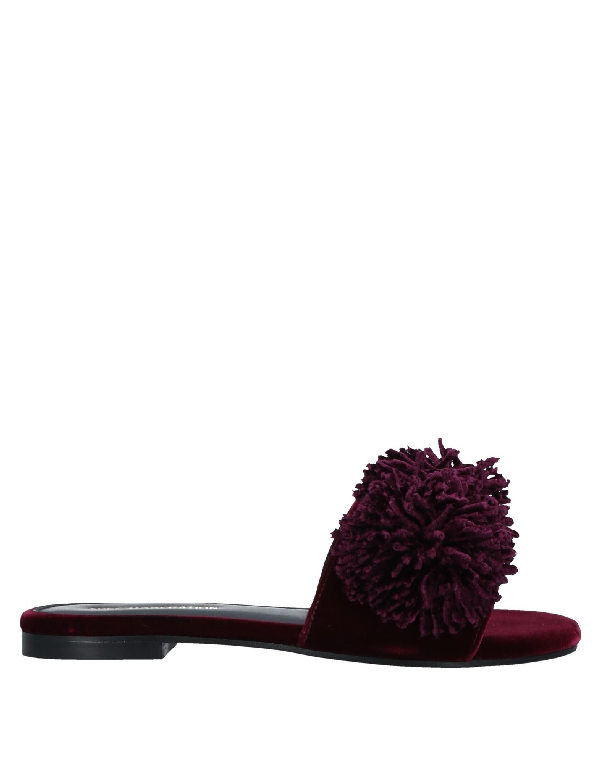 dark purple flip flops