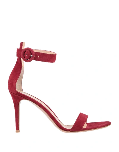 Gianvito Rossi Sandals In Garnet