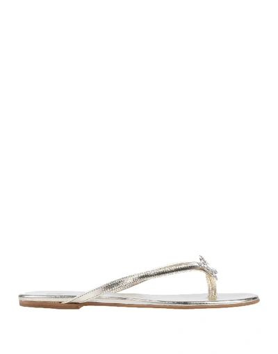 Aruna Seth Toe Strap Sandals In Grey