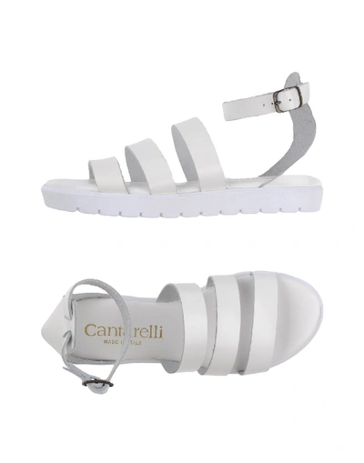 Cantarelli Sandals In White