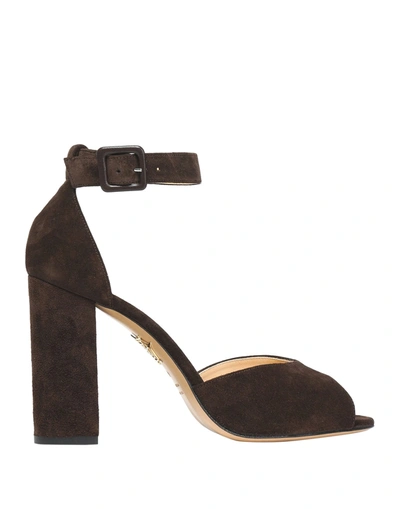 Charlotte Olympia Sandals In Dark Brown