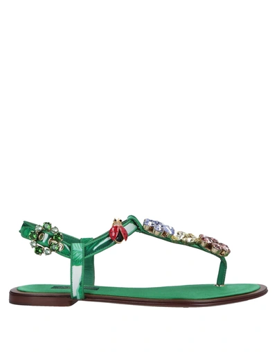 Dolce & Gabbana Flip Flops In Green