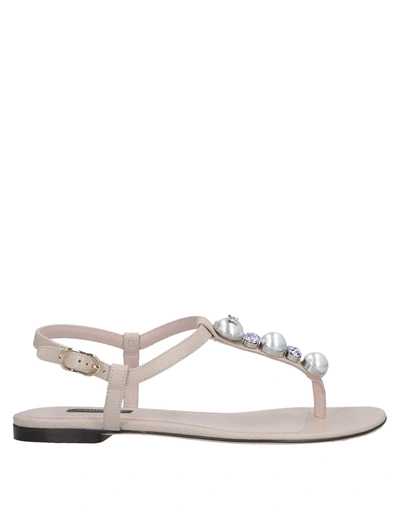 Dolce & Gabbana Toe Strap Sandals In Light Pink