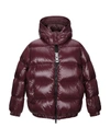 Add Down Jacket In Maroon