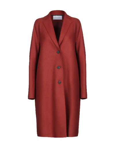 Harris Wharf London Coats In Rust