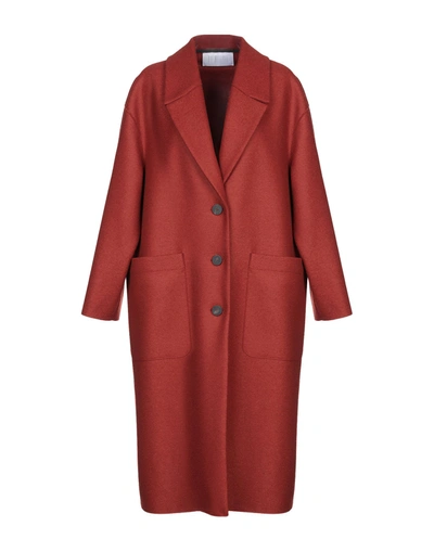 Harris Wharf London Coats In Rust