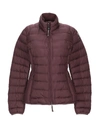 Parajumpers Down Jacket In Maroon