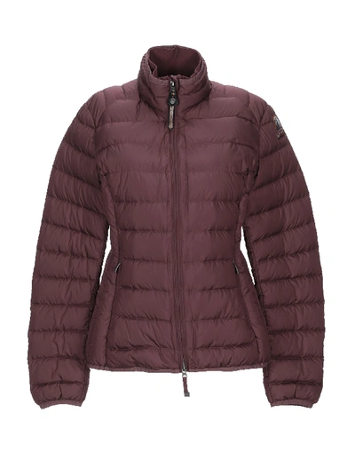 Parajumpers Down Jacket In Maroon