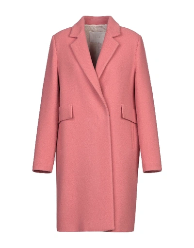 Tela Coat In Pink
