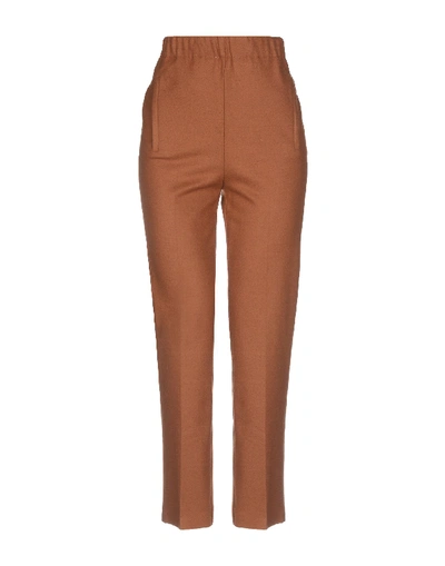 Jucca Casual Pants In Brown
