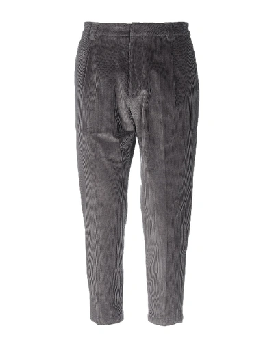 Low Brand Chinos In Lead