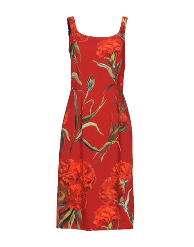 Dolce & Gabbana Knee-length Dress In Red