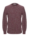 Gran Sasso Sweater In Maroon