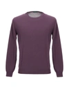 Zanone Sweaters In Purple