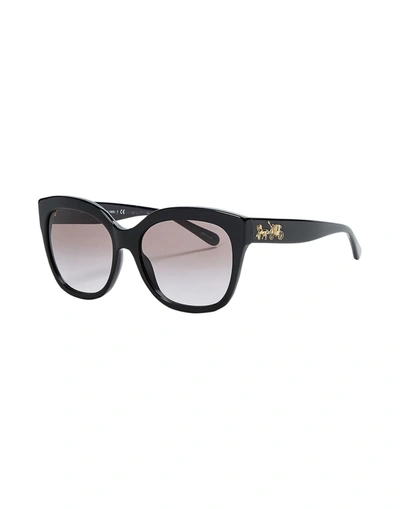 Coach Sunglasses In Black