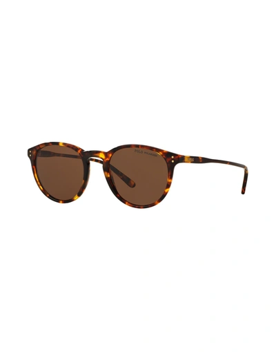 Polo Ralph Lauren Sunglasses In Dark Brown