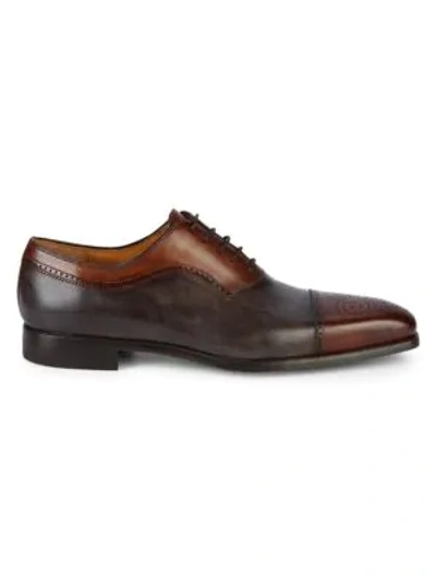 Magnanni Two-tone Leather Brogues In Tobacco