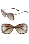 Longchamp 56mm Gradient Lens Butterfly Sunglasses - Dark Havana