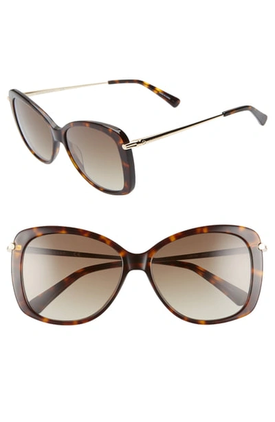 Longchamp 56mm Gradient Lens Butterfly Sunglasses - Dark Havana In Dark Havana