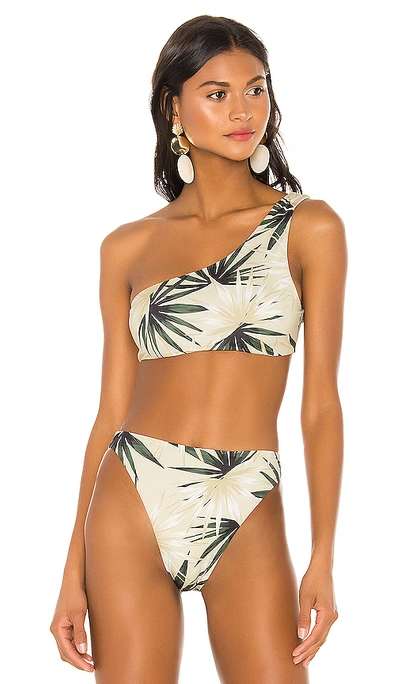 Beach Riot Leila Bikini Top In Palm