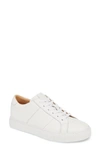 Greats Royale Leather Sneakers In White Leather