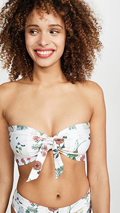 Agua By Agua Bendita Valeriana Bikini Top In Postcards