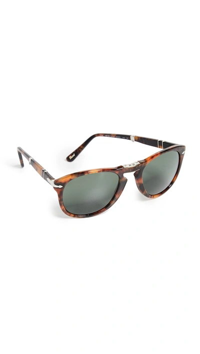 Persol Caffe Classic Sunglasses In Green