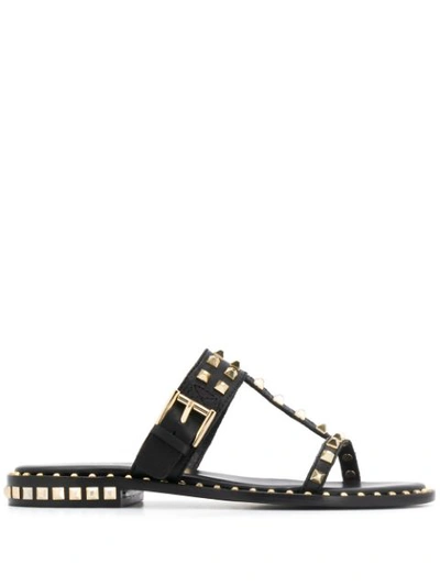 Ash prince shop sandals