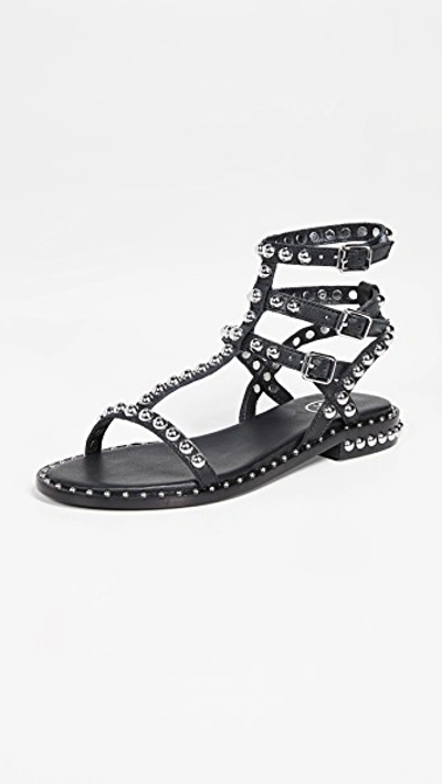 Ash Leather Play Gladiator Sandals Colour: Black