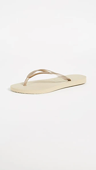 Havaianas Sand Grey Slim Flip Flops In Sand Grey/light Golden