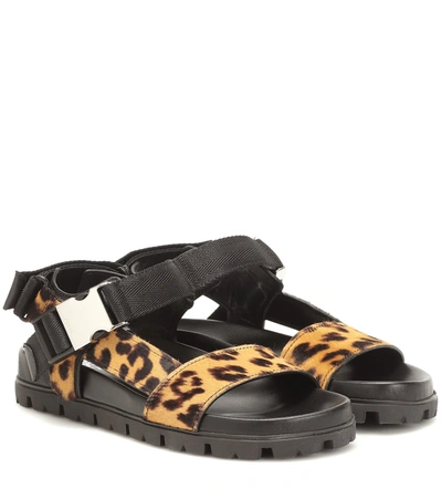 Prada Leopard Print Touch-strap Sandals In Brown